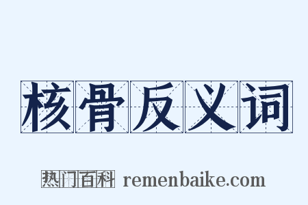 核骨反义词是什么意思的图片
